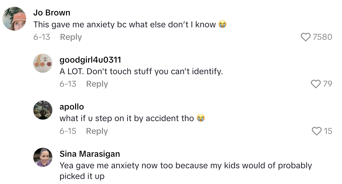 Screenshot 2025 07 06 at 6.24.52 PM A Beachgoer Had No Idea That She Picked Up A Poisonous And Lethal Cone Shell